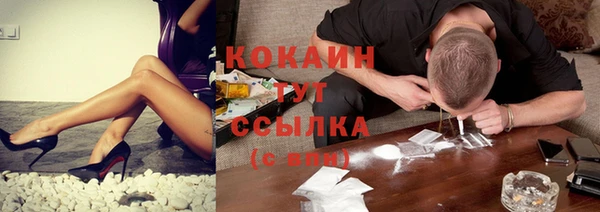 мдпв Козловка