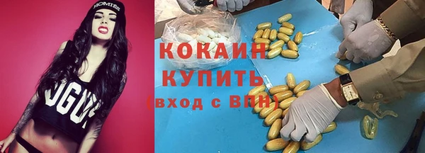 мдпв Козловка