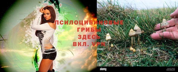 альфа пвп Кодинск