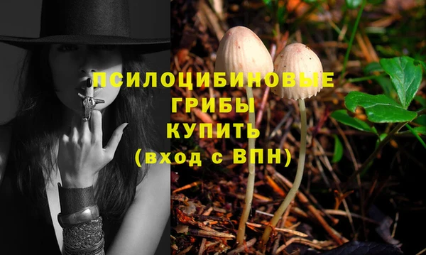 мдпв Козловка