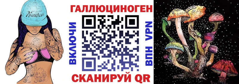 купить  цена  Приволжск  Галлюциногенные грибы мицелий 